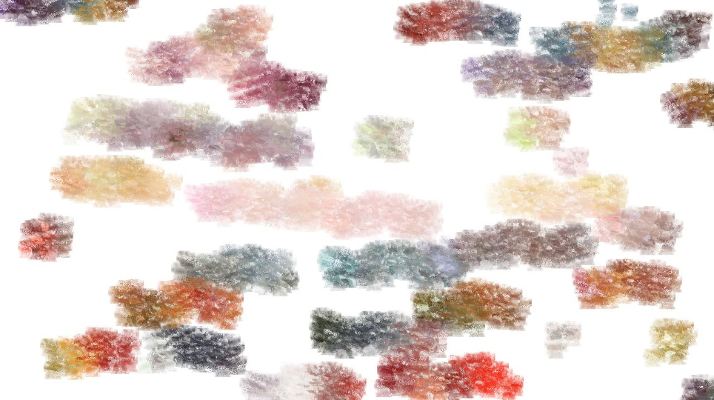 image: an image