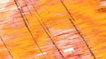 Seventh of 'reflets &mdash; msg &mdash; variations 1 3.5.1 new 1 1'.