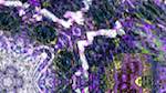 Fifth of 'reflets &mdash; msg &mdash; variations 1 3.5.1 new 1 2'.