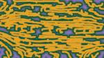 Seventh of 'reflets &mdash; msg &mdash; variations 1 3.5.1 new 1 2'.