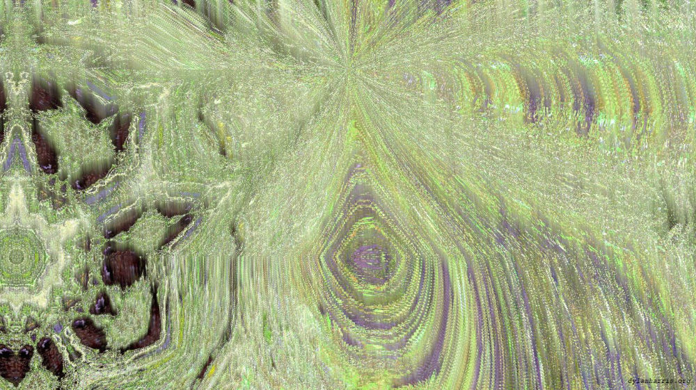image: an image