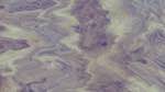 First of 'reflets &mdash; msg &mdash; variations 1 3.5.1 new 2 11'.