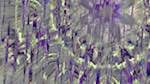 Seventh of 'reflets &mdash; msg &mdash; variations 1 3.5.1 new 2 4'.
