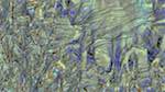 Second of 'reflets &mdash; msg &mdash; variations 1 3.5.1 new 2 5'.