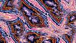 Third of 'reflets &mdash; msg &mdash; variations 1 3.5.1 new 2 5'.