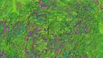 Eighth of 'reflets &mdash; msg &mdash; variations 1 3.5.1 new 2 7'.