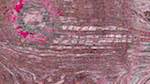 Fourth of 'reflets &mdash; msg &mdash; variations 1 3.5.1 new 2 8'.
