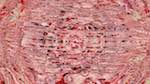 Fifth of 'reflets &mdash; msg &mdash; variations 1 3.5.1 new 3 3'.