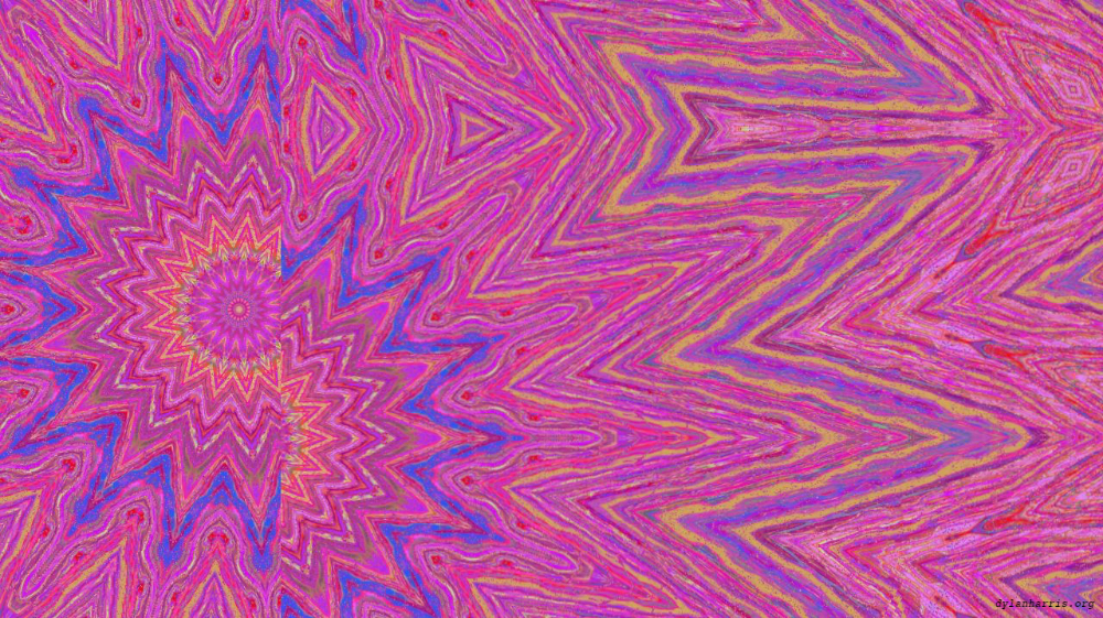 image: an image