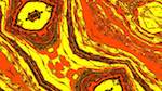 Fifth of 'reflets &mdash; msg &mdash; variations 1 3.5.1 new 1 5'.