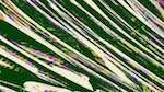 First of 'reflets &mdash; msg &mdash; variations 1 3.5.1 new 1 6'.