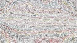 image: an image