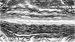 image: an image