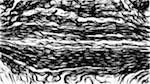 Second of 'reflets &mdash; paint synthesiser classic &mdash; users 1 aaa tucker 10'.