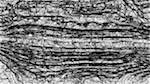Fifth of 'reflets &mdash; paint synthesiser classic &mdash; users 1 aaa tucker 11'.