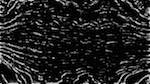 Sixth of 'reflets &mdash; paint synthesiser classic &mdash; users 1 aaa tucker 11'.