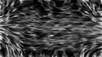 image: an image