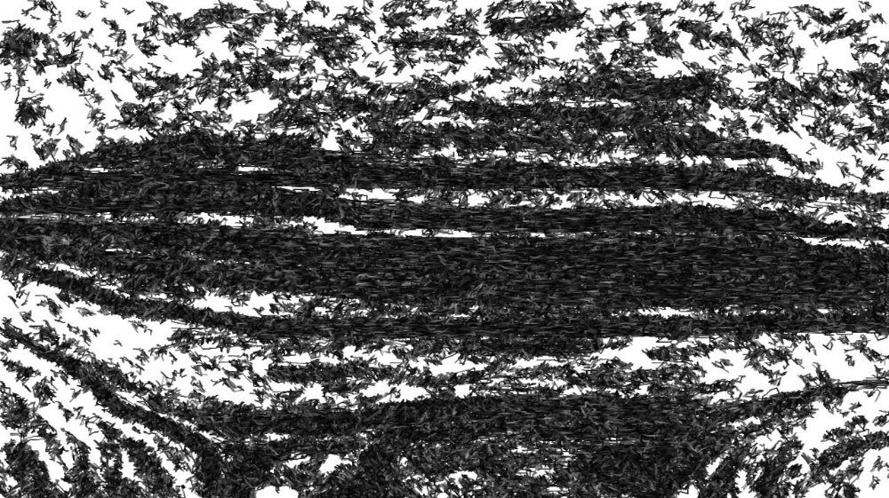 image: an image