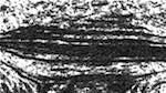 Fourth of 'reflets &mdash; paint synthesiser classic &mdash; users 1 aaa tucker 7'.