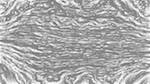 Second of 'reflets &mdash; paint synthesiser classic &mdash; users 1 aaa tucker 8'.