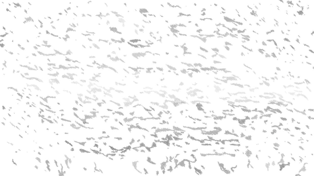 image: an image