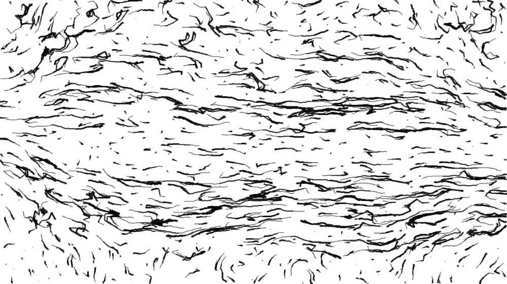 image: an image