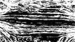 image: an image