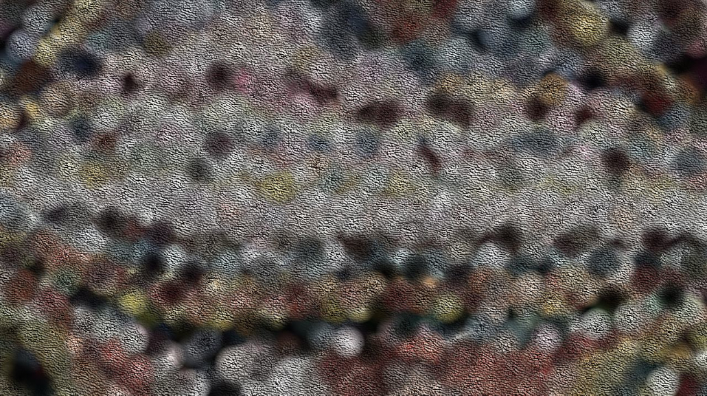 image: an image