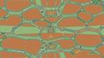 Eighth of 'reflets &mdash; msg &mdash; abstract 1 abstract 13'.