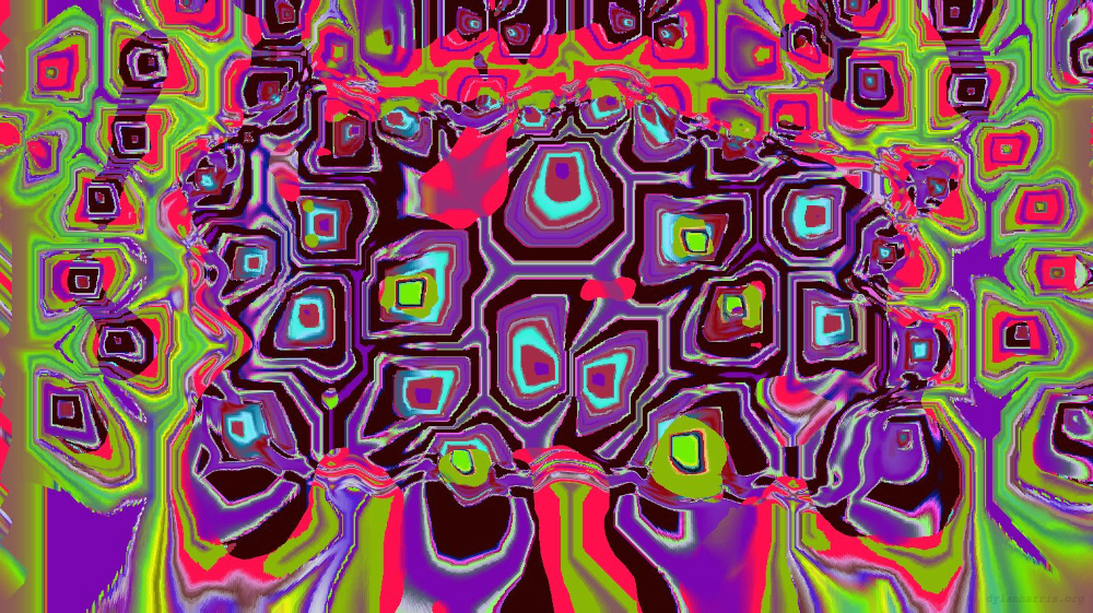 image: an image