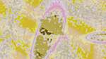 Second of 'reflets &mdash; msg &mdash; variations 0 abstract 2'.