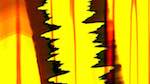 Seventh of 'reflets &mdash; msg &mdash; variations 0 abstract 9'.