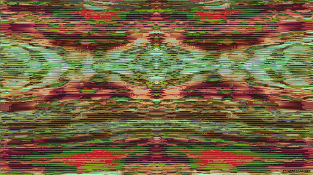 image: an image