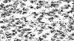 Fourth of 'reflets &mdash; paint action sequence &mdash; abstractions'.