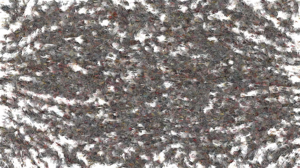 image: an image