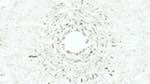 Third of 'reflets &mdash; msg &mdash; variations 2 a new 2'.