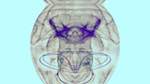Fourth of 'reflets &mdash; msg &mdash; processing effects 1 anim test 1'.
