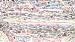 image: an image
