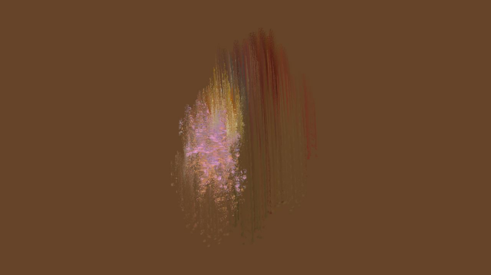 image: an image
