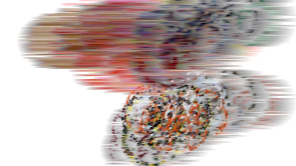 image: an image