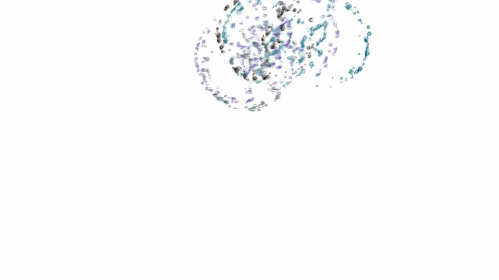 image: an image