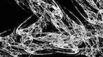 Fourth of 'reflets &mdash; msg &mdash; abstract 1 attr 1'.