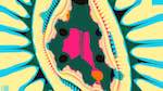 Third of 'reflets &mdash; msg &mdash; abstract 1 attractor 1'.