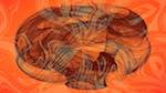 Sixth of 'reflets &mdash; msg &mdash; abstract 1 attractor 1'.
