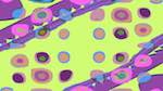 First of 'reflets &mdash; msg &mdash; abstract 1 attractor 2'.