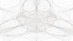 Eighth of 'reflets &mdash; msg &mdash; abstract attractors black & white 1'.