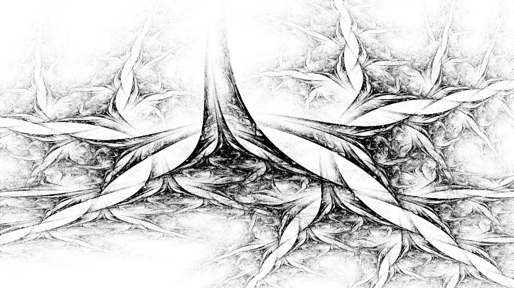 Image 'reflets &mdash; msg &mdash; abstract attractors black & white 2 4'.