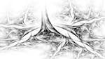 Fourth of 'reflets &mdash; msg &mdash; abstract attractors black & white 2'.