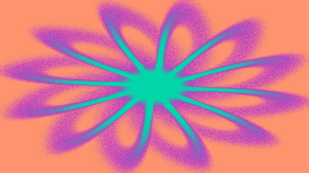 image: an image