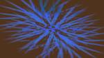 Fourth of 'reflets &mdash; msg &mdash; abstract attractors circular 2'.